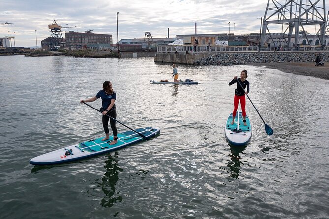 Learn to Paddle Board on the San Francisco Bay! - Frequently Asked Questions (FAQs)
