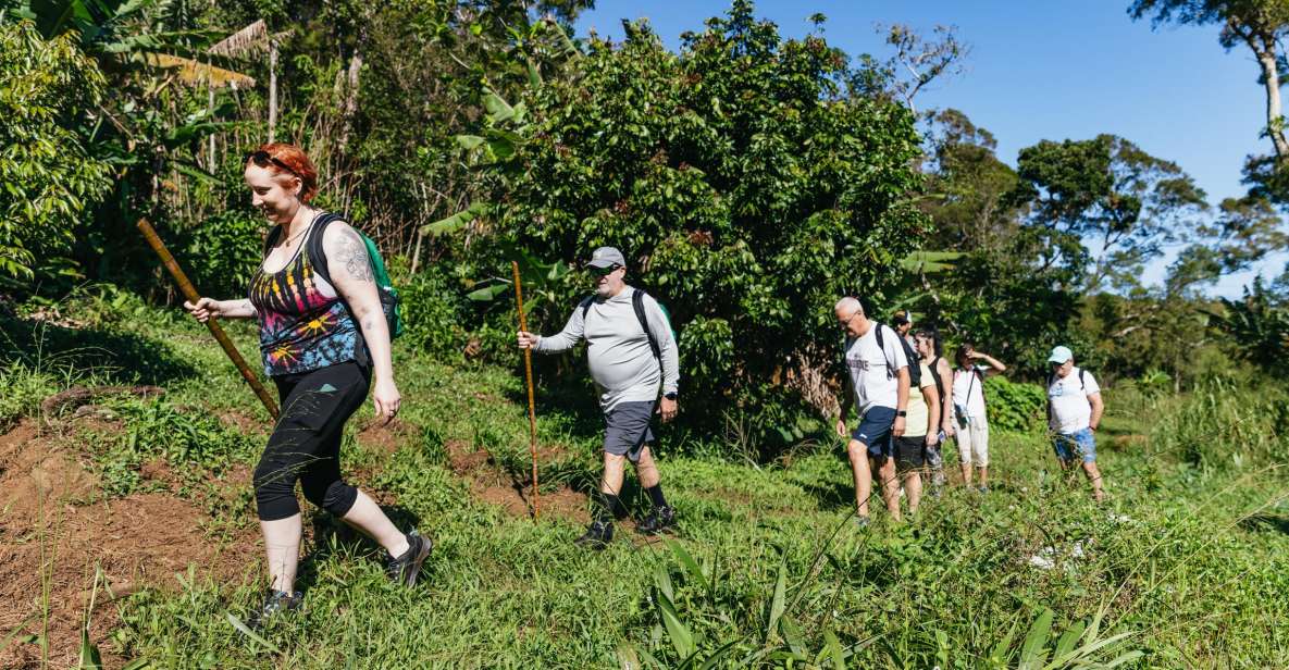 Maui: Rainforest Waterfalls Guided Hike with Picnic Lunch - FAQ