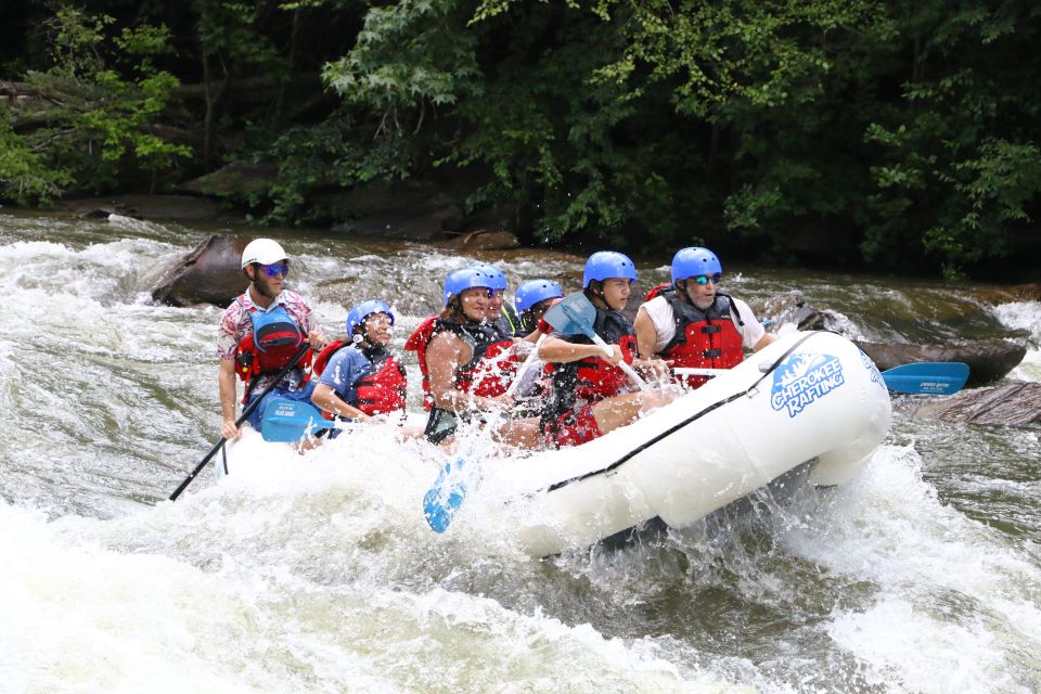 Middle Ocoee River Whitewater Rafting Trip - Most Popular - Who Should Consider This Tour?