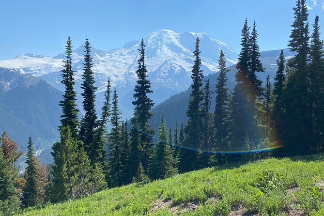 Mount Rainier Day Hike - The Trail and What You Will See