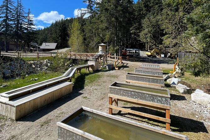 Musher's Camp and Gold Panning Adventure - Who This Tour Is Best For