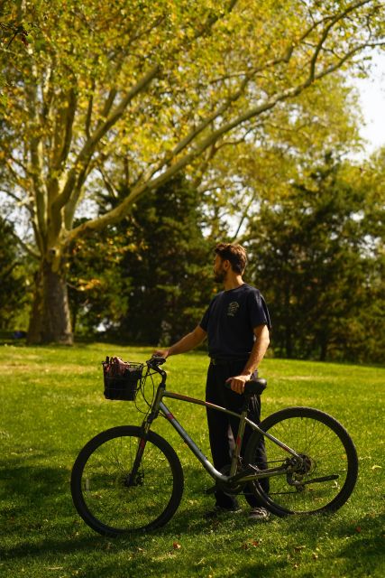 NYC: Central Park Bike Rental - What Makes Central Park a Perfect Cycling Destination?