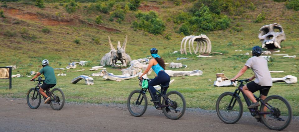 Oahu: Kualoa Electric Bike Tour - Logistics & Practical Details