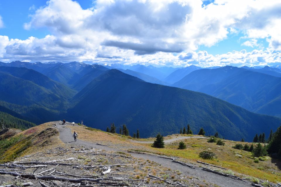 Olympic National Park: Sol Duc and Hurricane Ridge Tour - Transport, Timing, and Overall Value