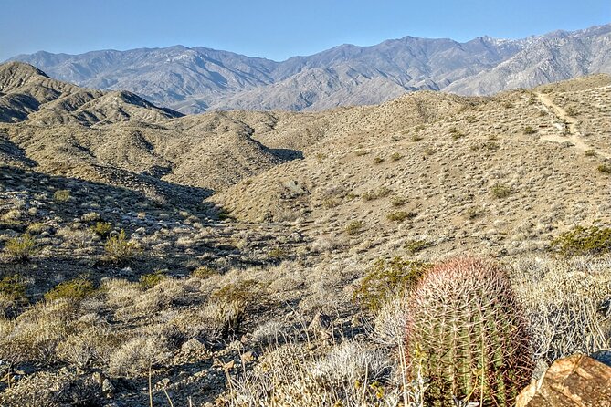 Palm Springs Hike to an Oasis and Amazing Desert Views - Why This Experience Is Worth the Price