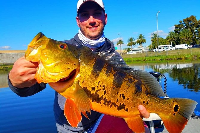 Peacock Bass Fishing Trip in Boynton Beach - Who Is This Tour Perfect For?