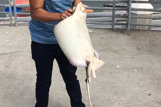 Pier Fishing Tour - San Diego - FAQs about the San Diego Pier Fishing Tour