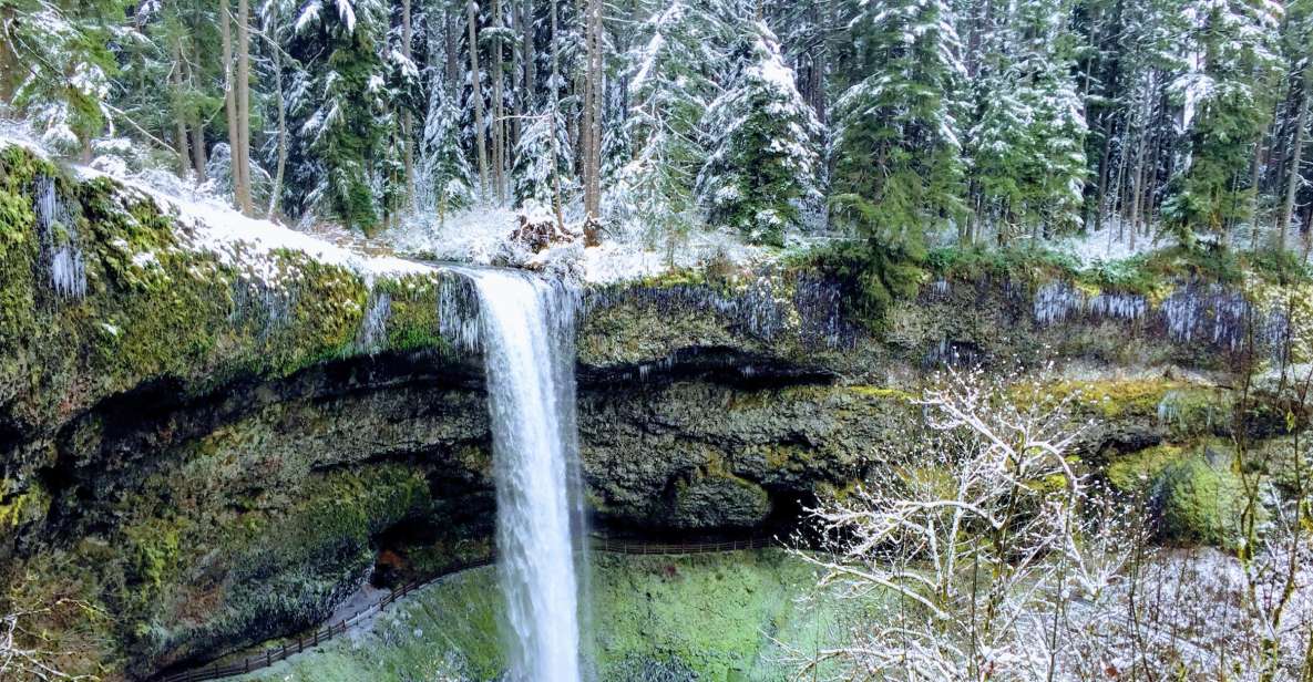 Portland: Silver Falls Hike - An Honest Breakdown of the Day Trip