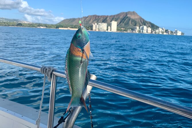 Private Fishing Charter for Family and Friends in Honolulu - The Value and Focus of the Experience