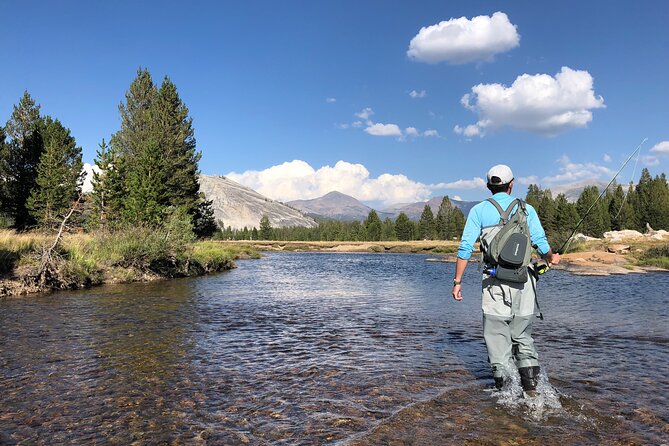 Private High Country Fly Fishing Adventure - Analyzing the Value of the Tour
