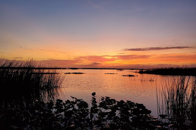 Private Lake Istokpoga Bass Fishing Charter in Sebring - Price, Value, and Practicalities