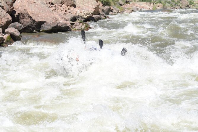 Royal Gorge Rafting Adventure - The Value of Guided Rapids in the Royal Gorge