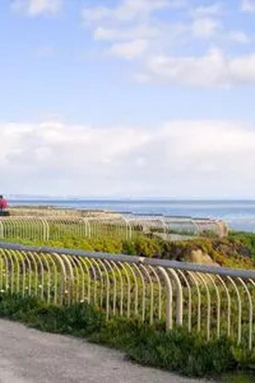 Santa Cruz: Guided eBike Tour - Noteworthy Beachfront Landmarks: Cowell’s Beach and Steamer Lane