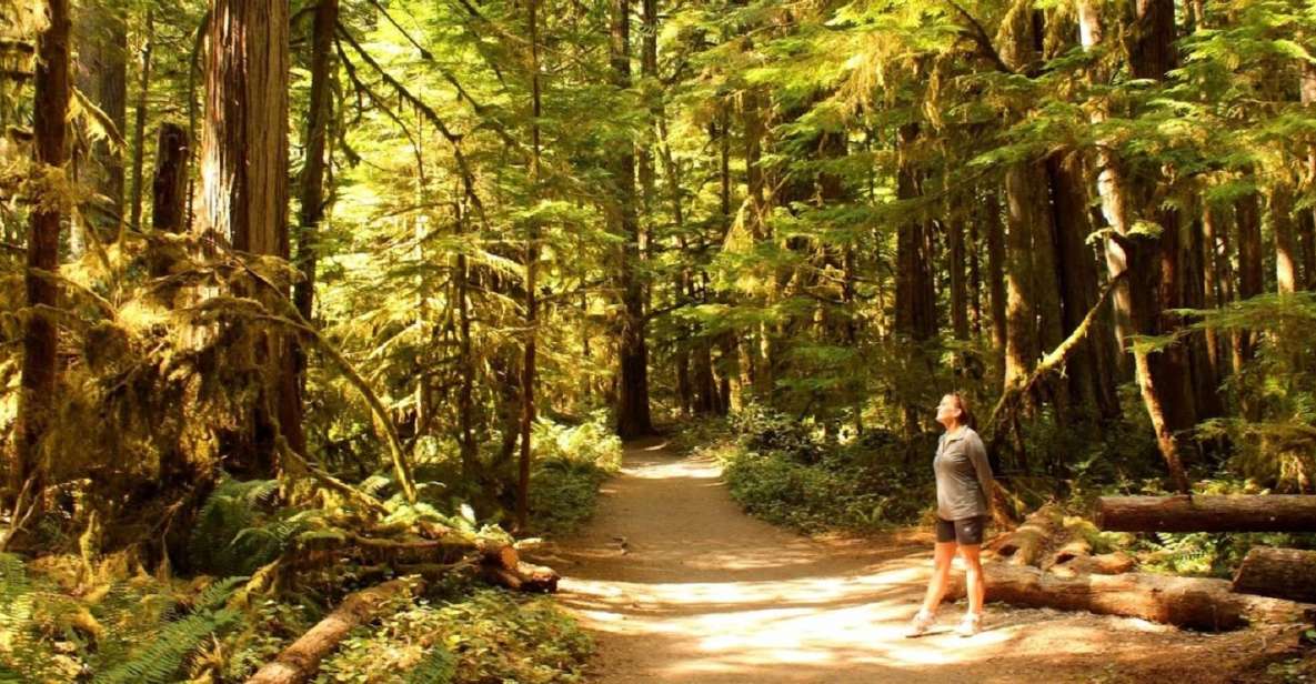 Seattle: Olympic National Park Small-Group Tour - Transport, Timing, and Group Size: What Does It Mean for You?