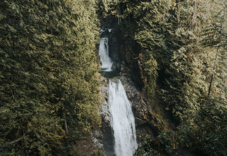 Seattle: Waterfall Wonderland Hike in Wallace Falls Park - What Sets This Tour Apart