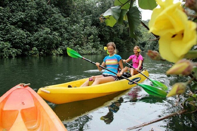 Secret Falls Kayak and Hike in Kauai - Hiking Through the Rainforest