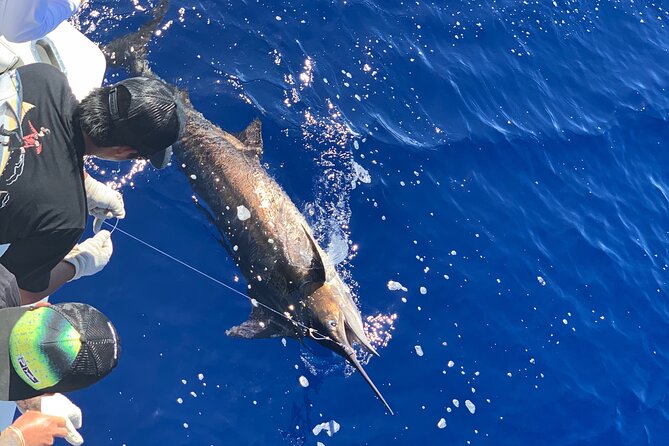 Shared Deep Sea Full-Day Fishing Charter in Hawaiian Waters - Who Is This Tour Best For?