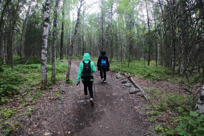 Summer Valley and Forest Hike - Detailed Itinerary Breakdown