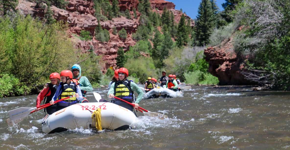 Telluride 1 Day Rafting Trip with Lunch - San Miguel River - Why This Trip Offers Solid Value