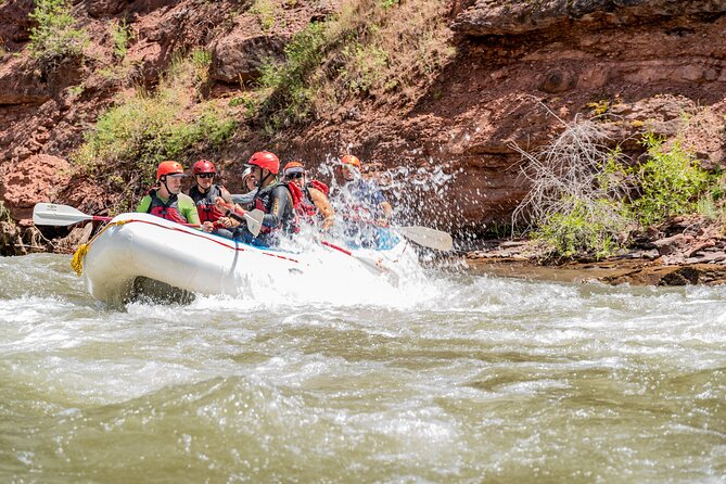 Telluride Afternoon Half Day Rafting Trip - San Miguel River - Insights from Real Reviews