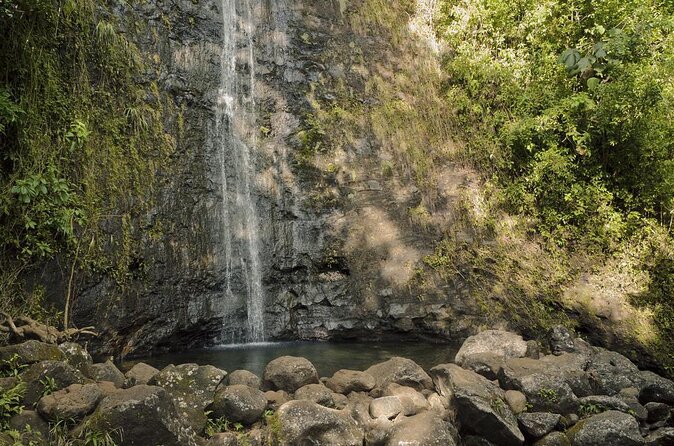 Waikiki Electric Bike Self Guided Tour- Manoa Falls Bike and Hike - The Sum Up: Who Is This Tour Perfect For?