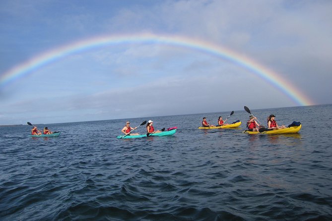Waterfall Hike and Kayak Snorkel & Paddle from Makena - Is This Tour Worth It?