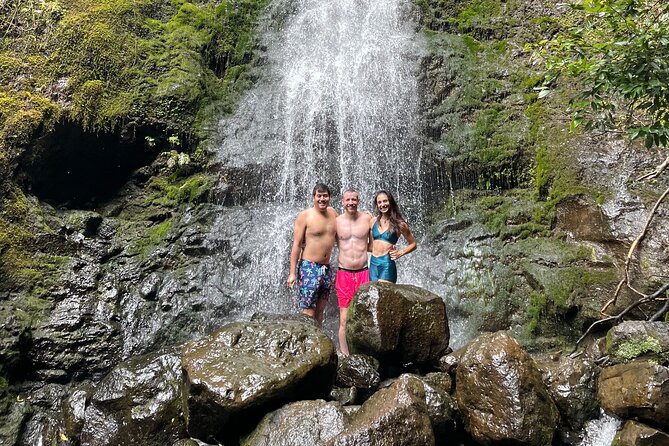 Waterfall Hike in Hawaii - Private Transportation/Group - Pricing and Value Analysis