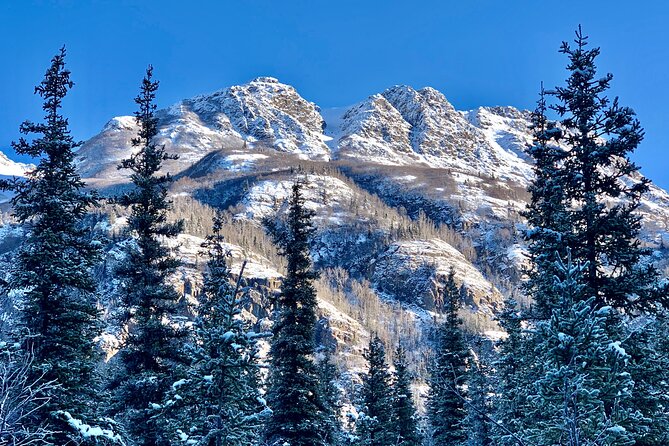 Winter Valley and Forest Hike - Practical Value and Price Assessment