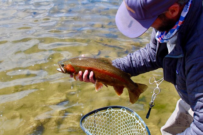 Yellowstone Full Day Wade Fishing Trip - Who Is This Tour Best For?