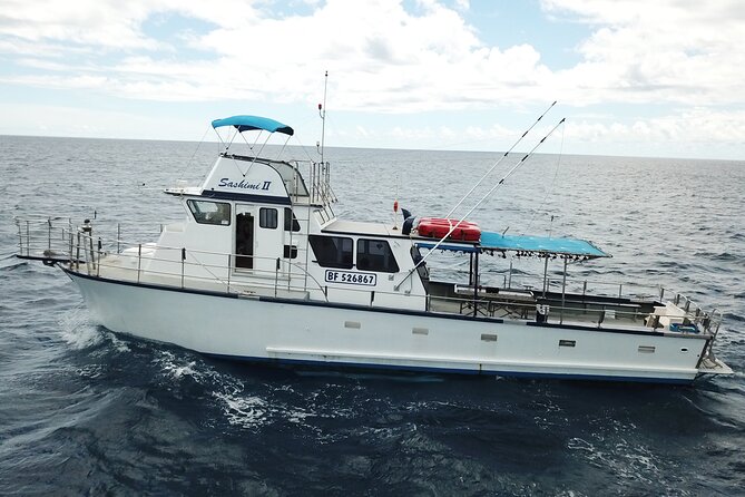 3-Hour Honolulu Bottom Fishing Adventure - What the Experience Looks Like