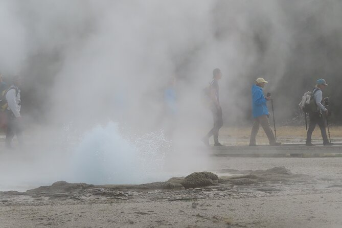 6-Mile Geyser Hiking Tour in Yellowstone with Lunch - The Sum Up