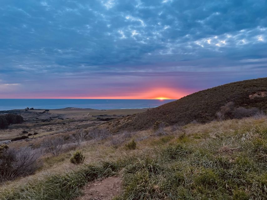 Big Sur's Old Coast Road E-Bike Tour - Why the Price Offers Good Value