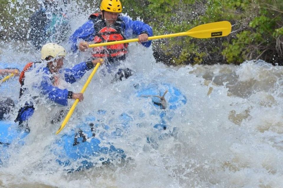 Cañon City: Half-Day Royal Gorge Whitewater Rafting Tour - How This Tour Compares and Who It’s Best For
