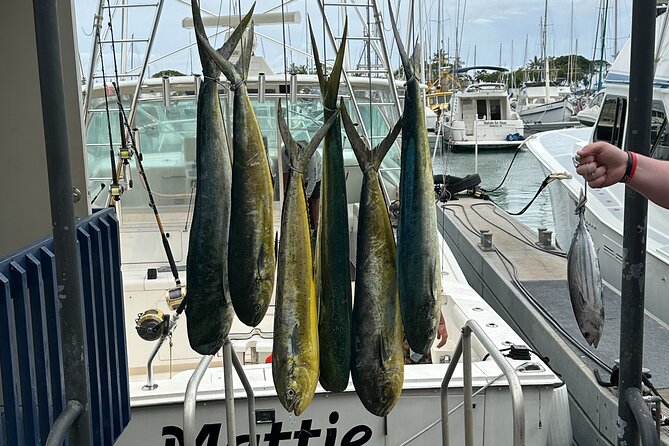 Deep Sea Fishing Charter in Waikiki, Hawaii - Who Is This Tour Best For?