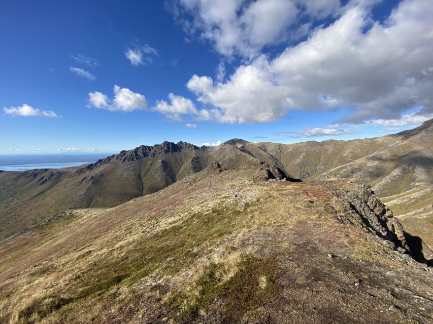 From Anchorage: Chugach State Park Guided Alpine Trek - Why This Tour Is Worth Your Time