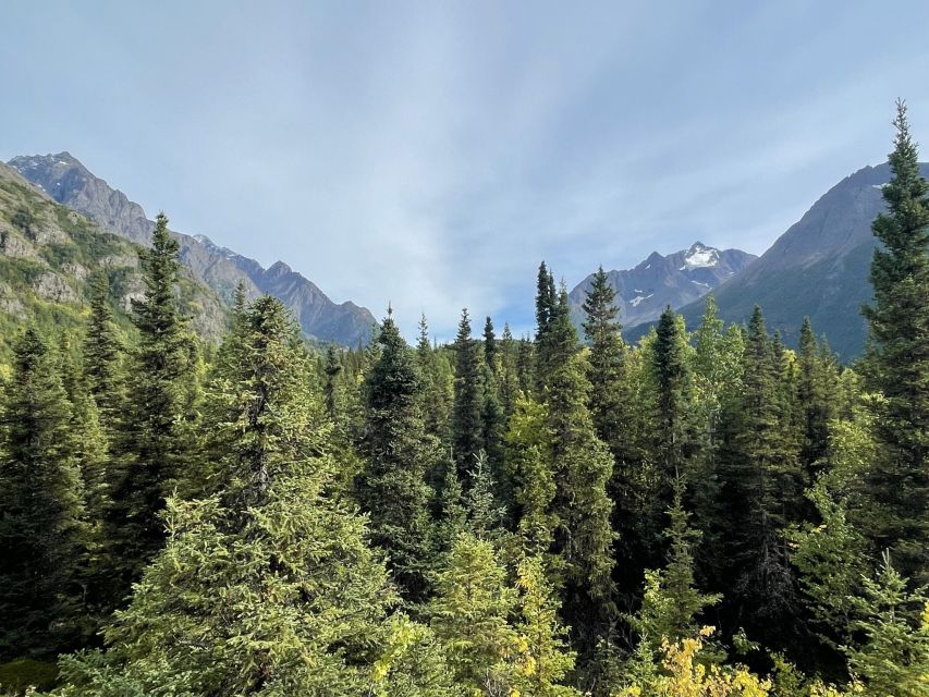 From Anchorage: Valley and Forest Hike with Naturalist Guide - Authentic Experiences and Real Traveler Insights