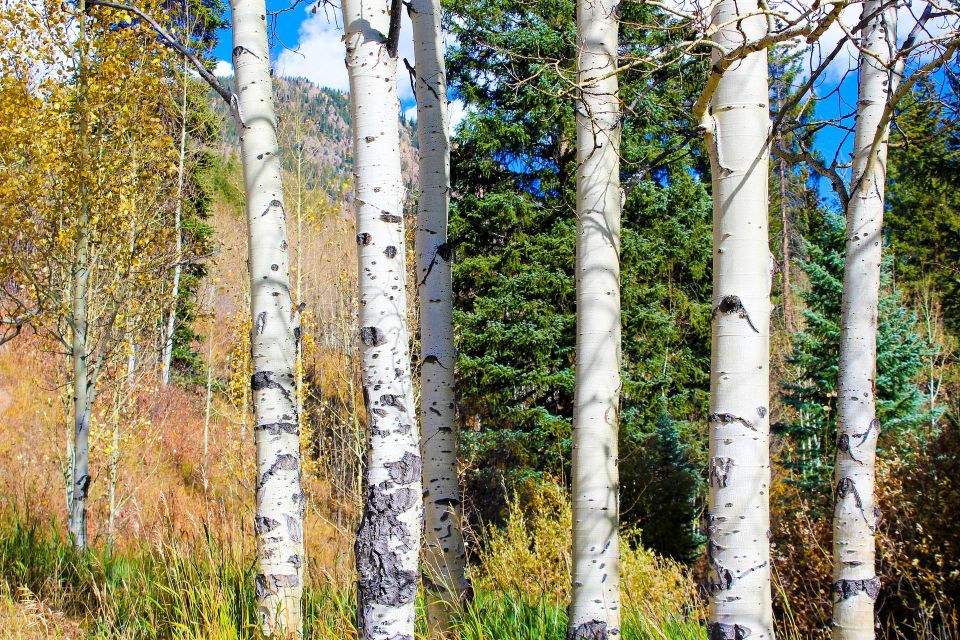 From Denver: Hike the Rockies Tour - Who Will Love This Tour?