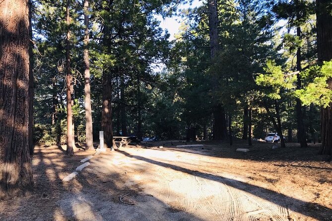 From San Diego: Two-Day Camping and Hiking Adventure in Idyllwild - In Summary