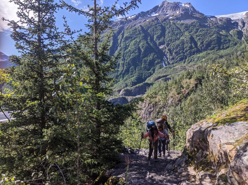 From Seward: 2-hour Wilderness Hiking Tour - Authentic Feedback from Fellow Travelers