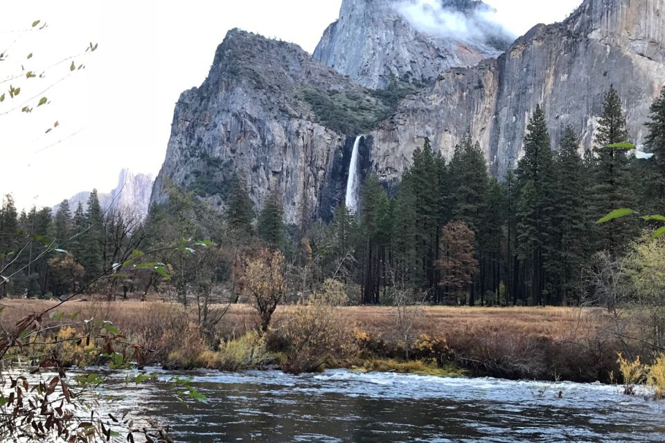 From SF: Yosemite Day Trip with Giant Sequoias Hike & Pickup - The Experience Through Travelers’ Eyes