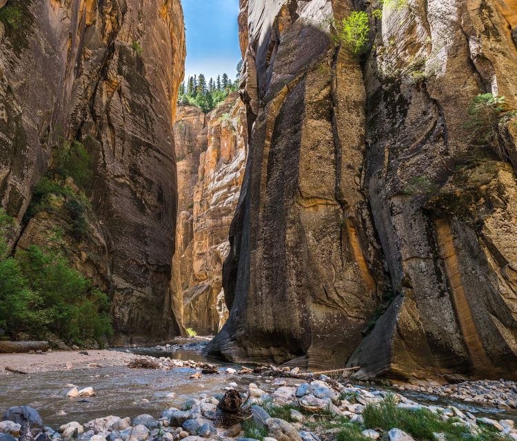 From Springdale: The Zion Narrows Hike with Lunch - Who Will Love This Tour?