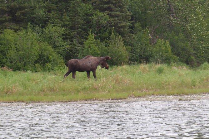 Full-Day Upper Kenai River Guided Fishing Trip - The Sum Up: Who Will Love This Trip?