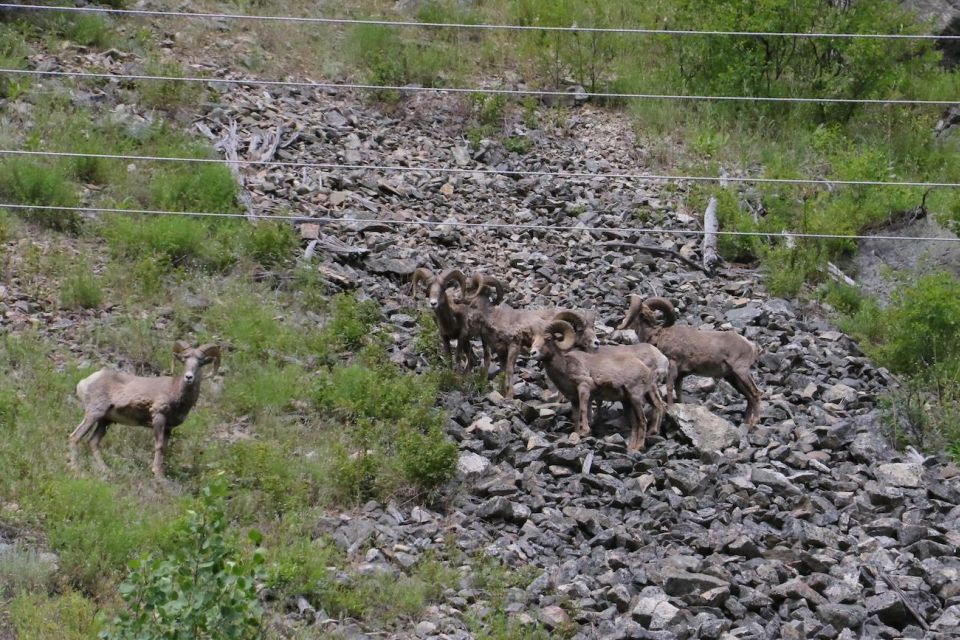 Gardiner: Scenic Raft Float on the Yellowstone River - Final Thoughts