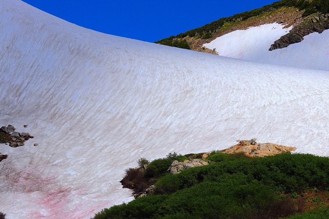 Glacier Hiking & Geothermal Cave Pools Tour - Who is This Tour For?