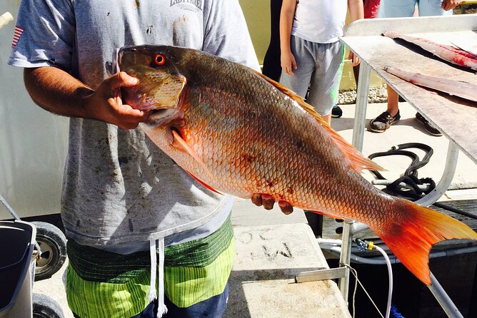 Half-Day Fishing Trip in Fort Lauderdale - The Sum Up