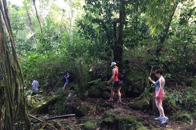 Hawaiian Waterfall Hike - The Practicalities: What Paying for 1 Gets You