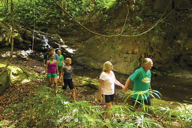 Hidden Valley Falls Kayak and Kauai Hike Adventure - Final Take: Is It Worth the Price?