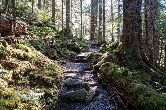 Ketchikan Mountain Lake Trek to Avalanche Chute - Price Point and the Value You Receive