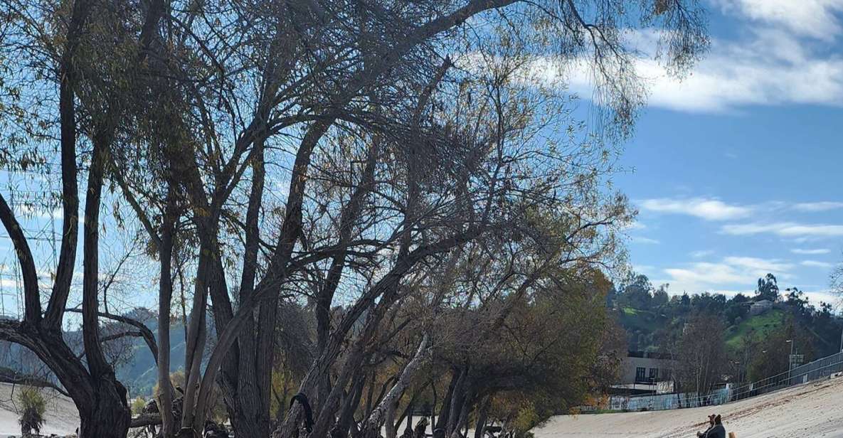 LA River Eco Tour and Secret Stair Hike - Glendale Narrows: An Introduction to LA’s River Past and Present