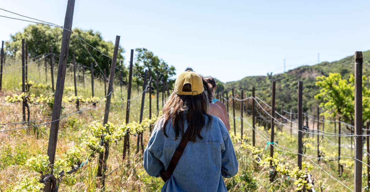 Malibu: Guided Vineyard Hike with Photo Stops and Wine - Cave Paintings and Native American Heritage